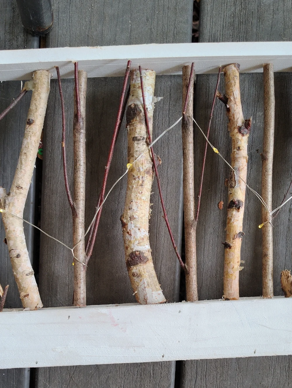 Rustic White Birch Branch Wall Hanging With Fairy Lights